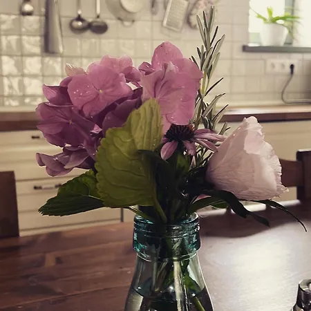 Itt Es - Szent Gyoergy-hegy * Raposka