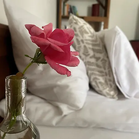 Itt és - Szent György-hegy Apartman Raposka