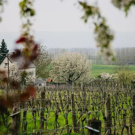 Itt Es - Szent Gyoergy-hegy * Raposka