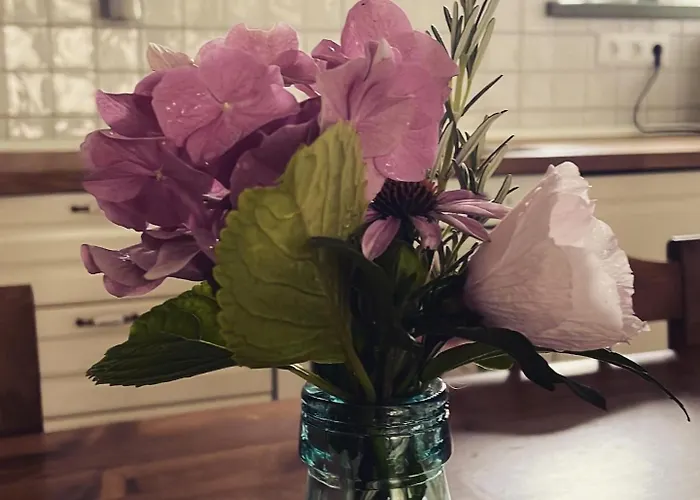 Itt és - Szent György-hegy * Raposka