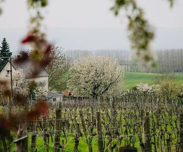 Itt és - Szent György-hegy * Raposka